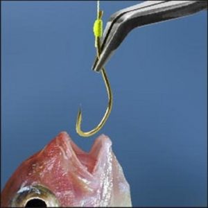 Kìm kẹp chuyên buộc lưỡi câu