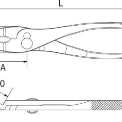Bn 200 Top Nhật Bản