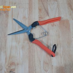 Ag 10 Saboten Made In Japan