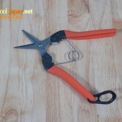 B 8 Saboten Nhật Bản